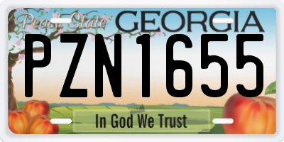 GA license plate PZN1655