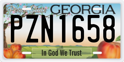 GA license plate PZN1658