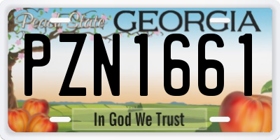 GA license plate PZN1661