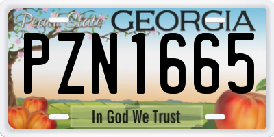 GA license plate PZN1665