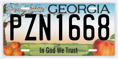 GA license plate PZN1668