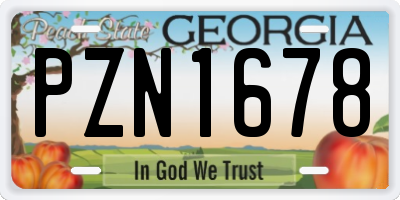 GA license plate PZN1678
