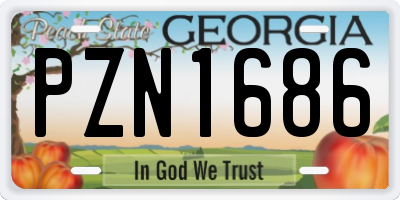 GA license plate PZN1686