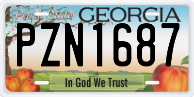 GA license plate PZN1687