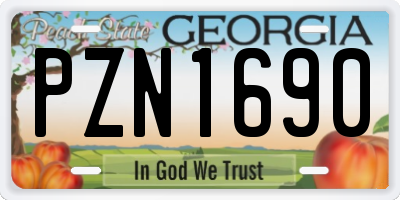 GA license plate PZN1690