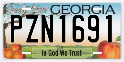 GA license plate PZN1691