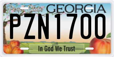 GA license plate PZN1700