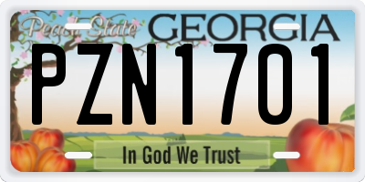 GA license plate PZN1701