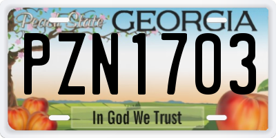 GA license plate PZN1703