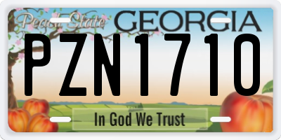 GA license plate PZN1710