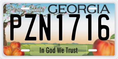 GA license plate PZN1716