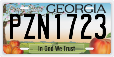 GA license plate PZN1723