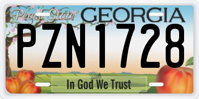 GA license plate PZN1728