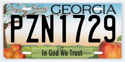 GA license plate PZN1729