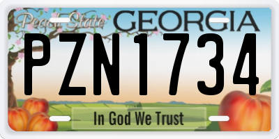 GA license plate PZN1734