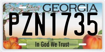 GA license plate PZN1735
