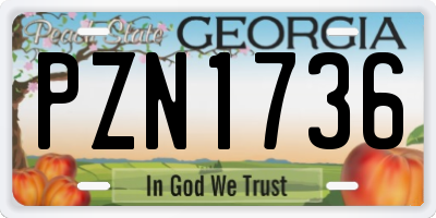 GA license plate PZN1736