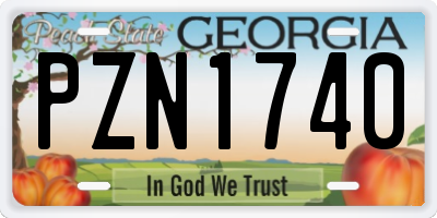 GA license plate PZN1740
