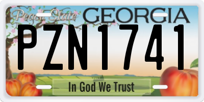 GA license plate PZN1741