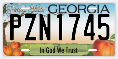 GA license plate PZN1745