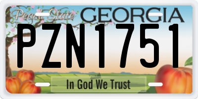 GA license plate PZN1751