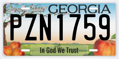 GA license plate PZN1759