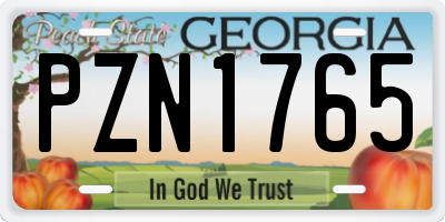 GA license plate PZN1765