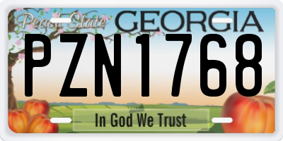 GA license plate PZN1768