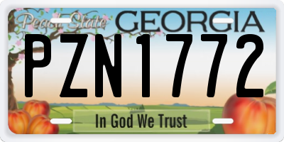 GA license plate PZN1772