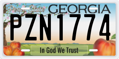 GA license plate PZN1774