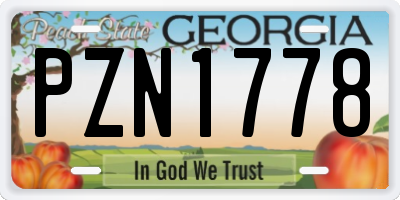 GA license plate PZN1778