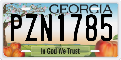 GA license plate PZN1785