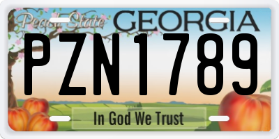 GA license plate PZN1789