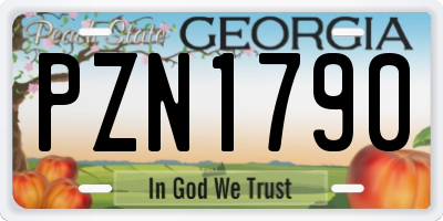 GA license plate PZN1790