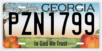 GA license plate PZN1799