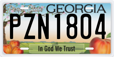 GA license plate PZN1804