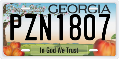 GA license plate PZN1807