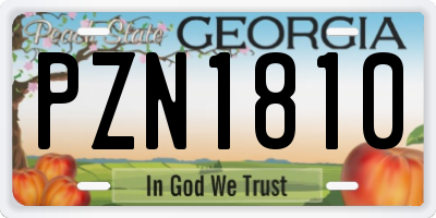 GA license plate PZN1810