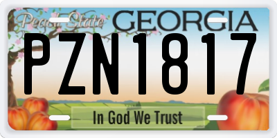 GA license plate PZN1817