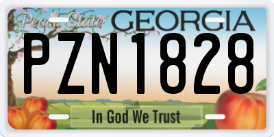 GA license plate PZN1828