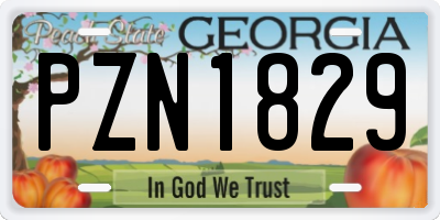 GA license plate PZN1829