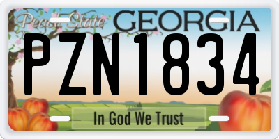 GA license plate PZN1834