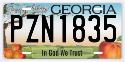 GA license plate PZN1835