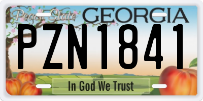 GA license plate PZN1841