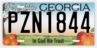 GA license plate PZN1844