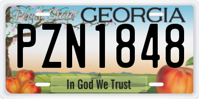 GA license plate PZN1848
