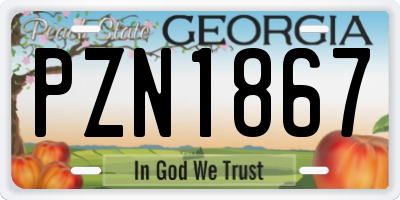 GA license plate PZN1867