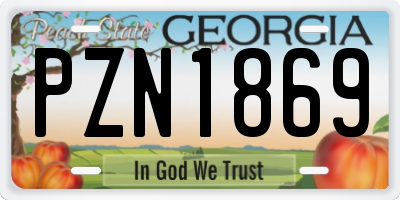 GA license plate PZN1869
