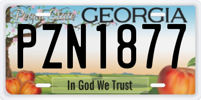 GA license plate PZN1877