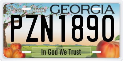 GA license plate PZN1890